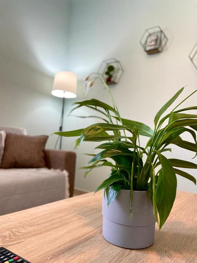 The Breeze & Sunlight Apartment Vrasná Extérieur photo